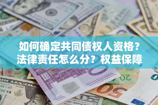 武汉如何确定共同债权人资格？法律责任怎么分？权益保障技巧揭秘！