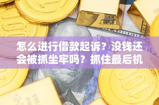武汉怎么进行借款起诉？没钱还会被抓坐牢吗？抓住最后机会！