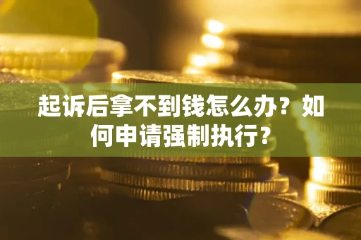 武汉起诉后拿不到钱怎么办？如何申请强制执行？