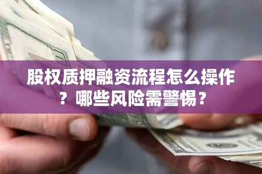 武汉股权质押融资流程怎么操作？哪些风险需警惕？