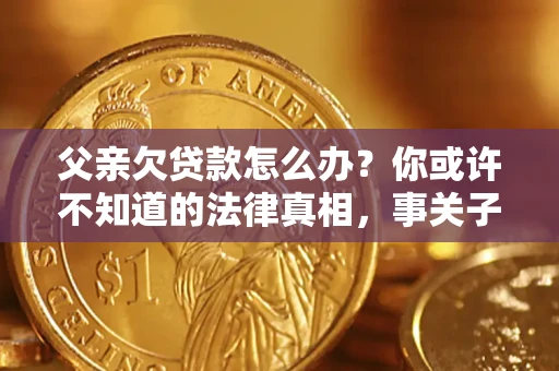 武汉父亲欠贷款怎么办？你或许不知道的法律真相，事关子女未来
