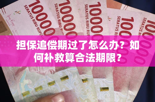 武汉担保追偿期过了怎么办？如何补救算合法期限？