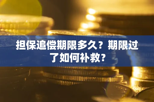 武汉担保追偿期限多久？期限过了如何补救？