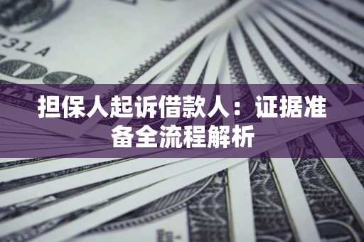 武汉担保人起诉借款人：证据准备全流程解析