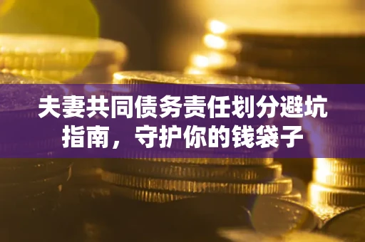 武汉夫妻共同债务责任划分避坑指南，守护你的钱袋子