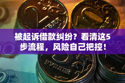 武汉被起诉借款纠纷？看清这5步流程，风险自己把控！
