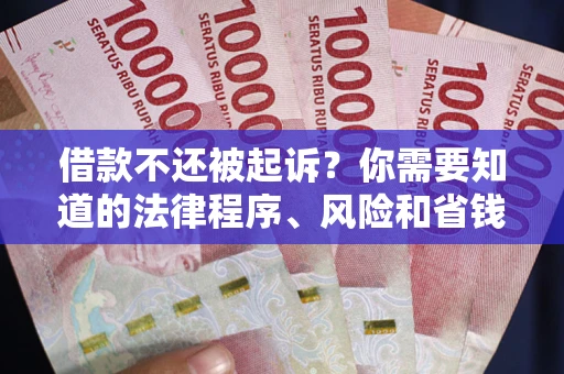 武汉借款不还被起诉？你需要知道的法律程序、风险和省钱技巧