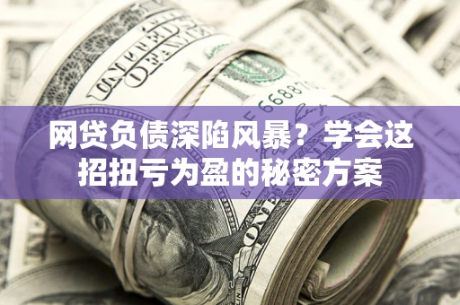武汉网贷负债深陷风暴？学会这招扭亏为盈的秘密方案